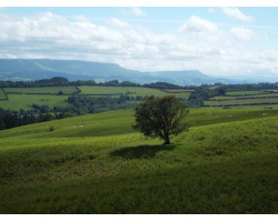 gladsomegladestry