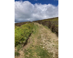 pilgrim_path_colva