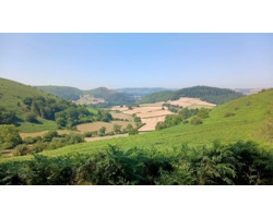 seven_hills