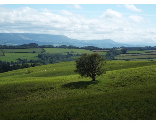 gladsomegladestry