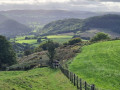 peter chard the hills are alive