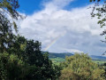 peter chard there s gold in them there hills.