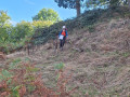 heleny1